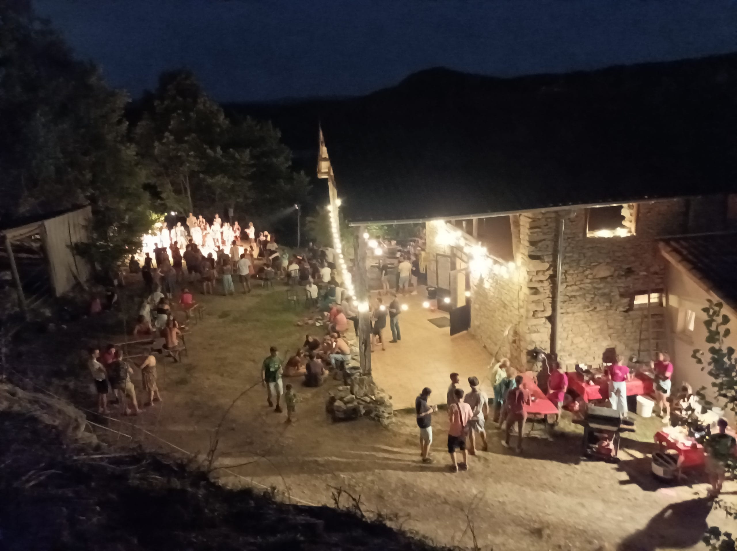 Joie à la brasserie : l&rsquo;envol des Paloufettes avec les touchants Oiseaux de Trottoir!