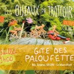 Les oiseaux sont de retour